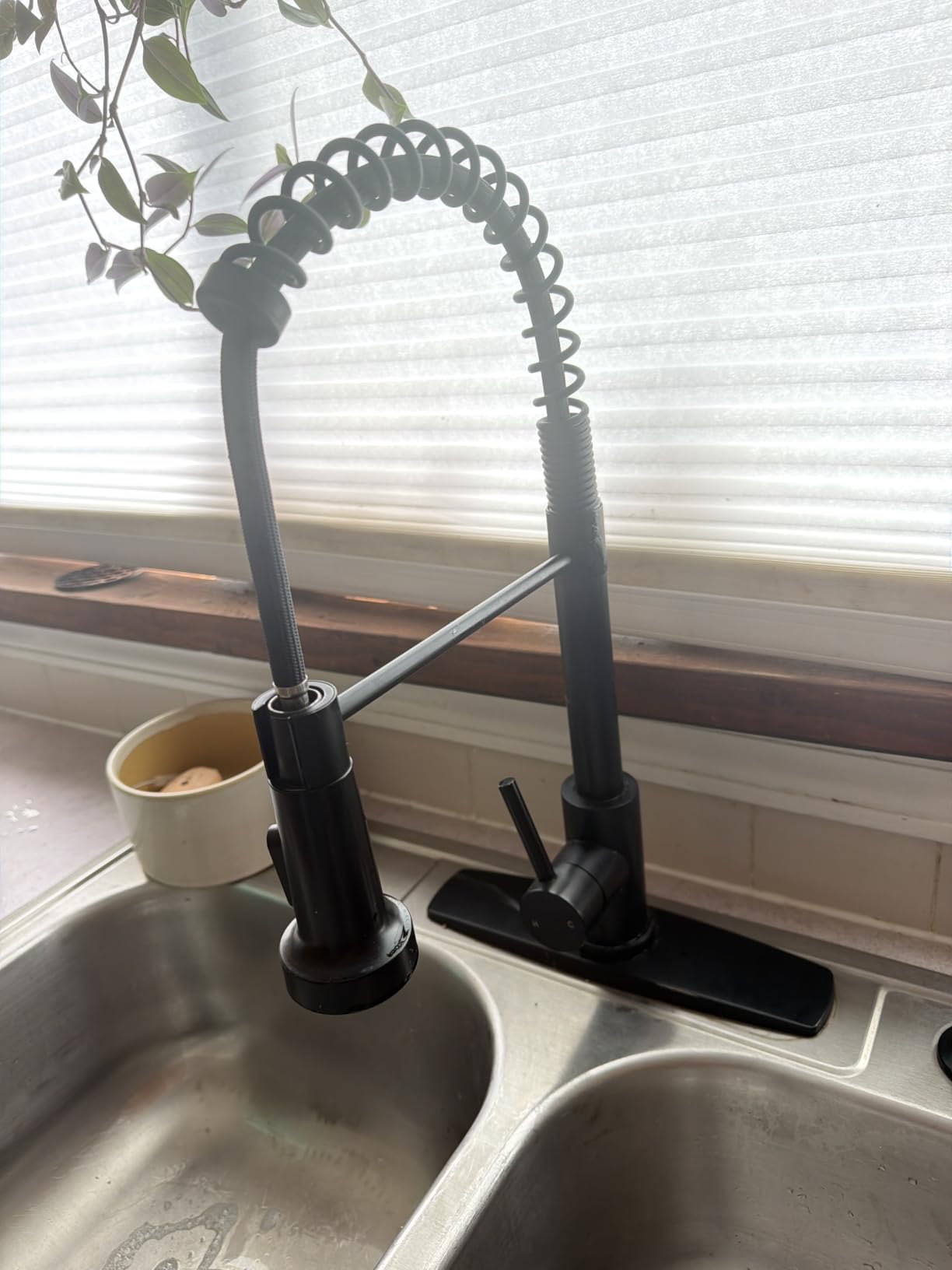 FORIOUS Black Kitchen Faucet with Purfied Water Filter, Pull Down Sprayer customer photo 2