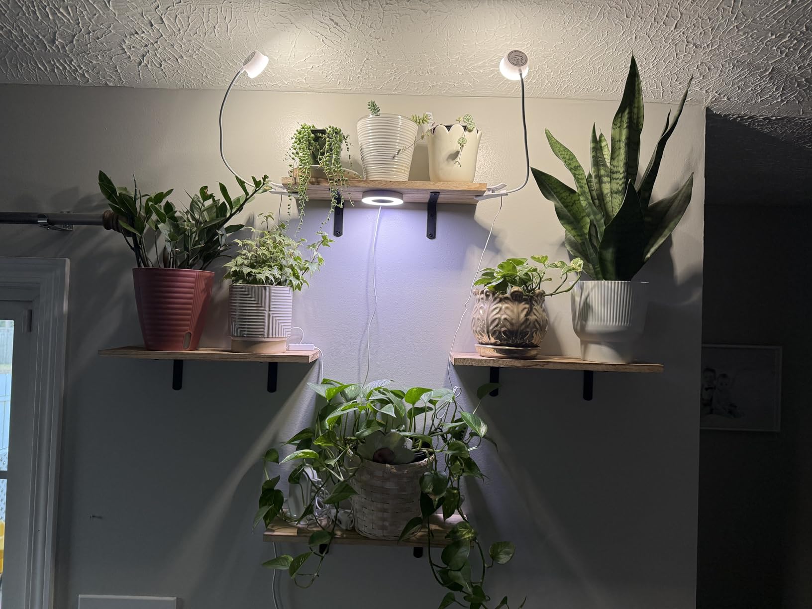 Grow Lights for Indoor Plants, 4000K Full Spectrum Plant Lights for Indoor Growing, 10 Brightness & 360° Adjustable Gooseneck & 3/9/12H Timer, Clip-on Small Grow Light for Succulents, Small Plant customer photo 2