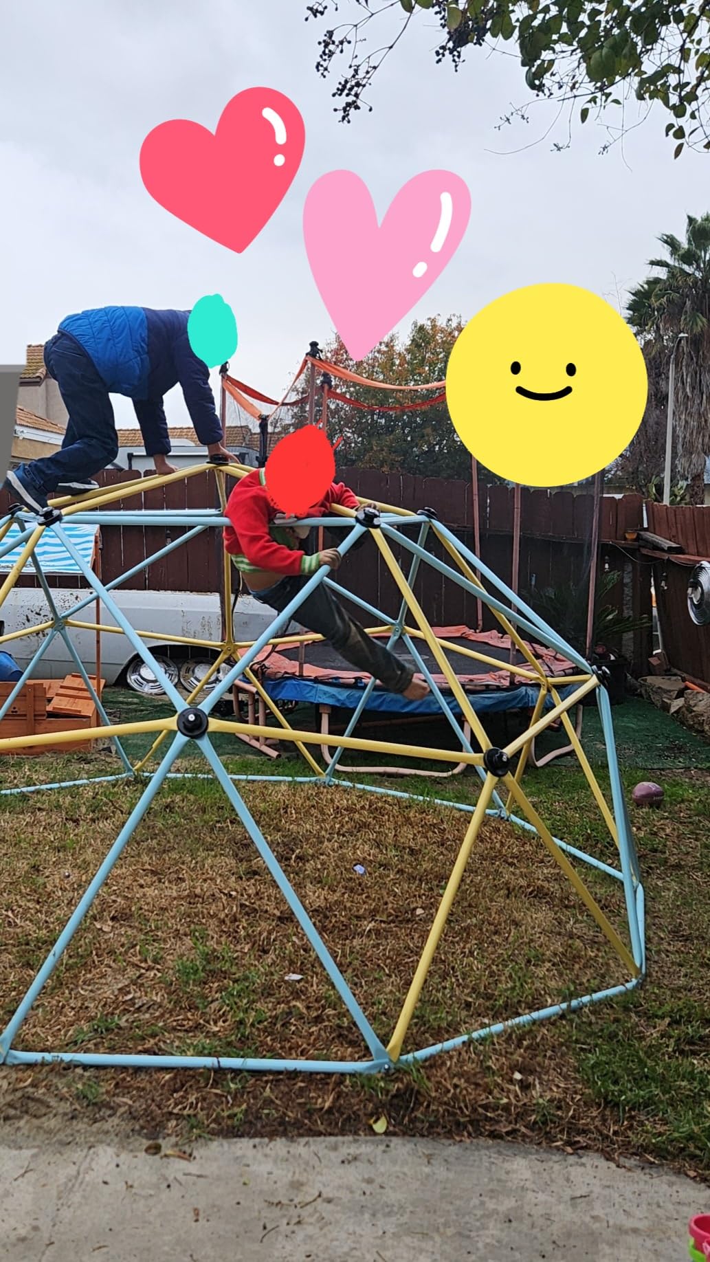 VEVOR Climbing Dome, 10FT Geometric Dome Climber with Saucer Swing, 1000LBS Loading Kid's Jungle Gym Playground, Easy-Assembly Outdoor Backyard Climbing Equipment for Boys Girls 3 to 10 Years Old customer photo 1
