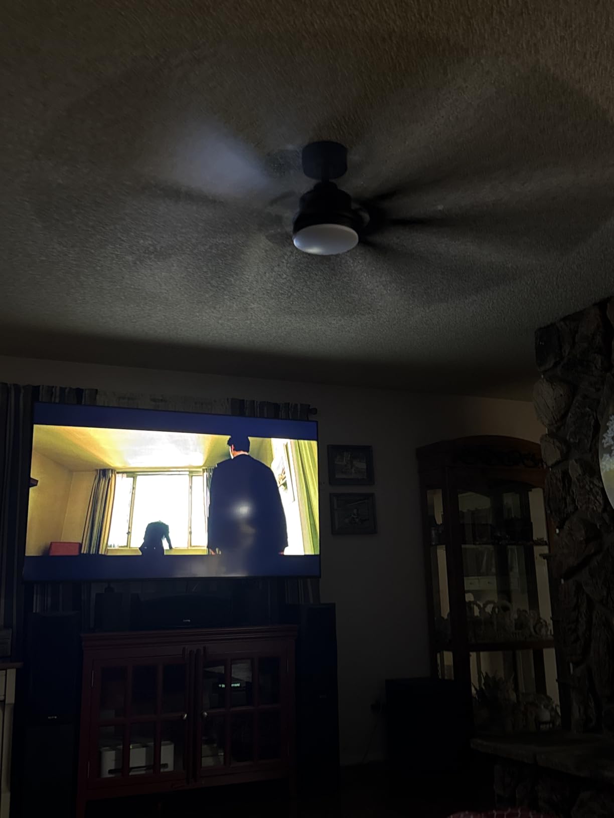 Fanbulous 72 Inch Ceiling Fans with Lights DC Motor, Remote & APP Control customer photo 2