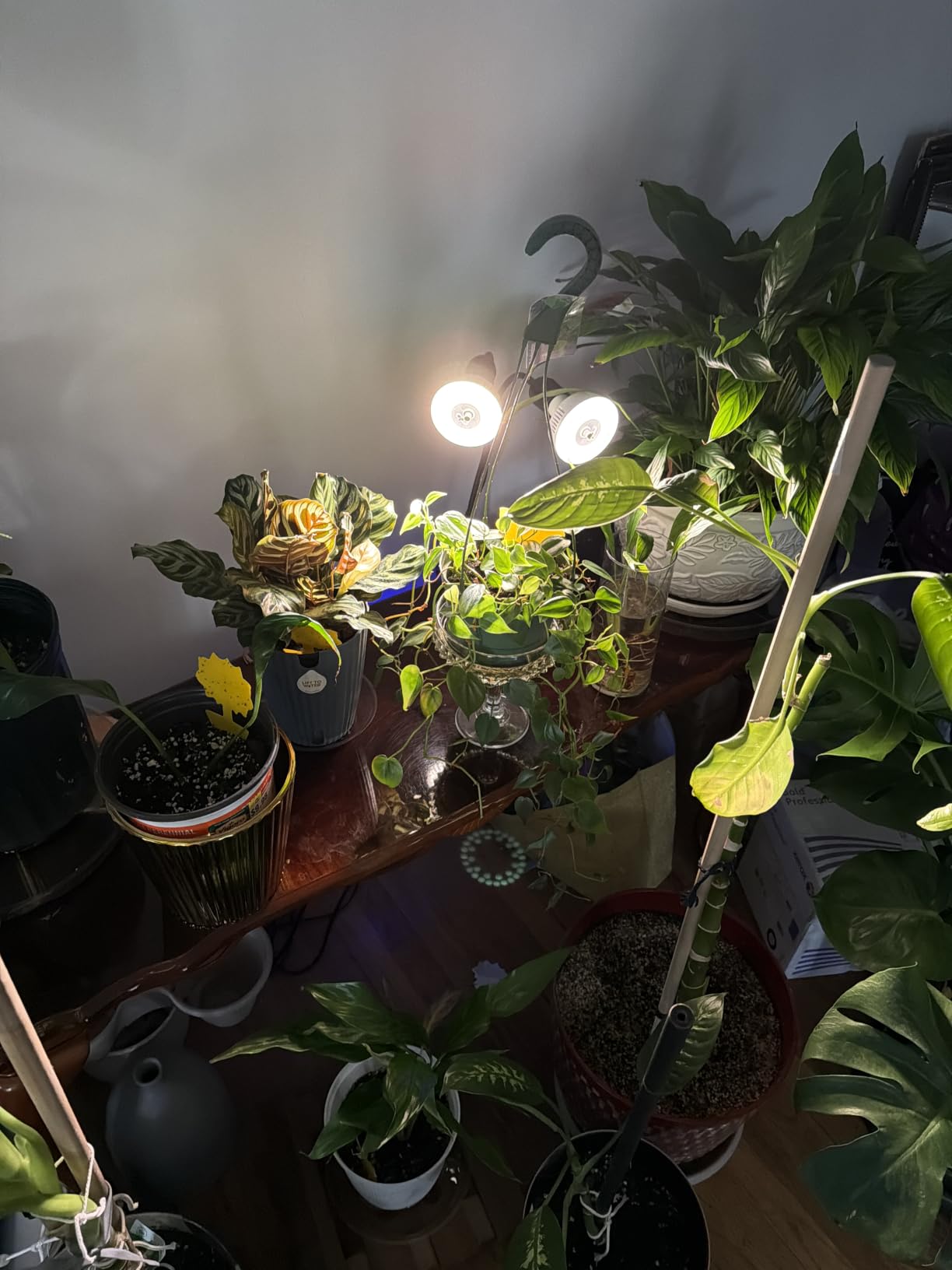 Barrina OG11A2 Clip On Grow Light for Indoor Plants, 4000K 22W(2 x 11W) customer photo 1