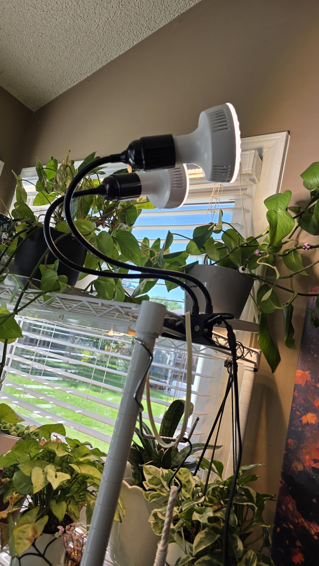Barrina OG11A2 Clip On Grow Light for Indoor Plants, 4000K 22W(2 x 11W) customer photo 2