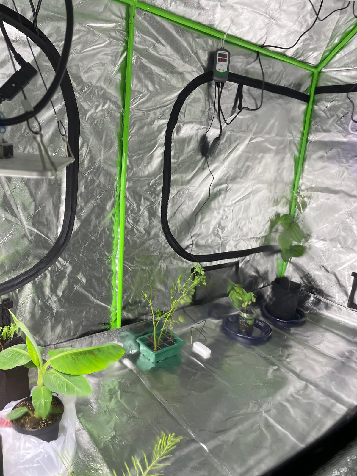 VIVOSUN Upgraded 2x4x6 Grow Tent 48