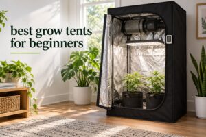 best grow tents for beginners